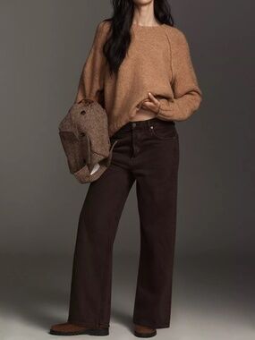 AGOLDE Ren High Rise Wide Leg Ankle Jeans in Sloe Berry size 28